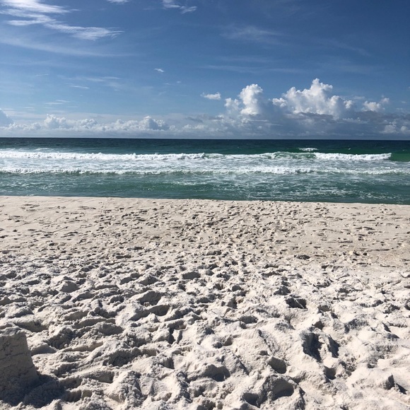 Meet your Posher, Tracee - Picture 2 of 2